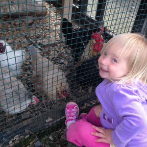 My youngest visiting with some chickens in Iceland.