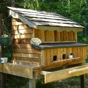 My first chicken coop.... for three bards and my grandaughter and my retirement also