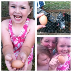 OUR FIRST EGG!! 7/31/2014