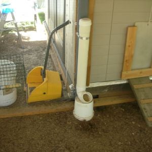 This is one of the PVC tube feeders for the run. Not a finished project yet. Going to add a second one and mount both on scrap pieces of plywood top and bottom, feeders screwed in and set on cinder blocks. Also going to add a second grit/oyster shell cups alongside. The little ramp going to pophole? Another scrap of 2x12 from my BIL, just added slats.