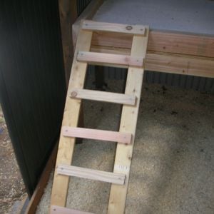 The ladder/ramp I built by myself going up to the roost/poop tray. I grant you it's a little crooked, but it works!