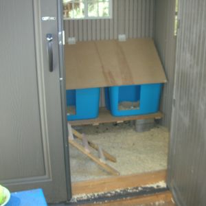 Another view of the nesting boxes looking in through the doorway. In this pic you'll see I added a 1" x 6" fence board so floor bedding doesn't constantly come out of the coop!