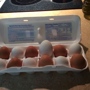 Doesn't fit in the egg carton!