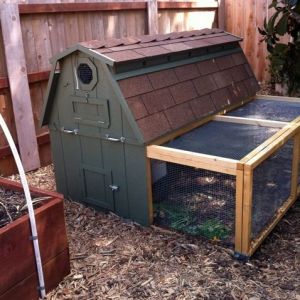 The Knotty Bird Company deluxe chicken coop