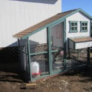 The Knotty Bird Company large playhouse chicken coop