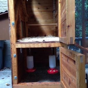 Coop with perch/food and water sheltered below.