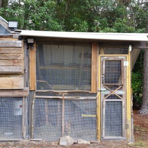 After: chicken coop w/run! (1/4" and 1/2" hardware cloth on all open parts, doubled up along bottom, trench around base has hardware cloth and slate lining them)