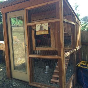My coop that my fabulously handy fiancé built me.