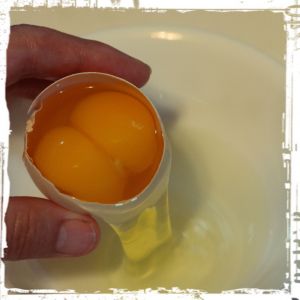 One of our Tetra Tints laid 5 double-yolkers in a row - They looked like goose eggs! Then she took a week off laying!