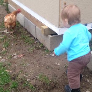 My daughter, CJ, following Betsy around while we were building the new chicken condo.