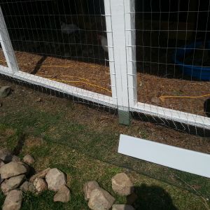 I put pre- painted 1x6 deck boards all around the bottom to help keep predators from prying at the wire there. I have changed the coated 1/2 inch chicken wire out to 1/2 inch hardware cloth that extends 18 inch out. This spring I plan to add a 2 foot extension from that and put    crusher run stones all around about 3 inches deep and 3 foot wide to make a nice path and finish off the predator barrier.