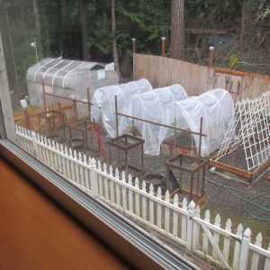 The coop opens into the fenced vegetable garden ... the raised beds have hinged covers.