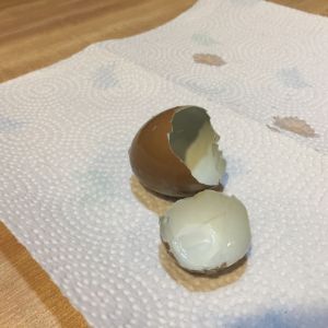 Anatomy of an olive egg. The outside appears brown in this photo because the egg is wet, when dry it's olive green. Note the inside is actually a blue shell from mom and the cuticle (bloom) is brown from dad. I'll post more olive egg pictures as I get them.