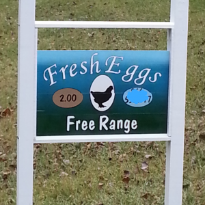 My sign for the eggs. I need to add "A French Hen" in the open space and make a Sold Out sign for the top. That's one of my winter projects.