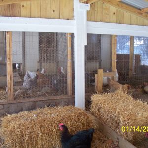 I have the small run is already divided part way. 
I put straw bales in the run and the girls love jumping on them, sitting on them and gives them a place to hide behind to get away from any bossy hens. They love to peck at the pieces of straw and when I need to add straw to the coop I have some available. In the winter the poo comes off readily.