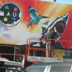A guy spay painting a shark