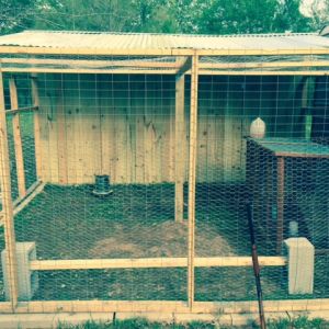 This is the front of my coop. The only thing left to do is add some lattice on the side and cut a hole to the nesting area.