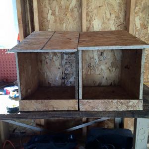 Two nesting boxes I made