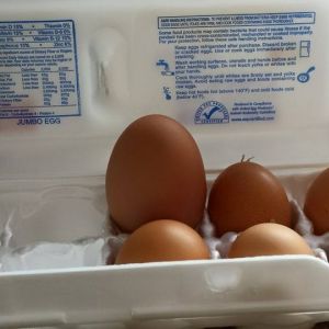our smallest chicken lays larger than regular eggs but this one was ridiculous.  It had 2 yokes