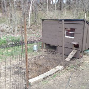 We currently have 3 chickens and just adopted 6 more.  The existing coop wasn't going to be large enough.   We removed a wall and built on the coop.  Now we have almost double the sq ft.