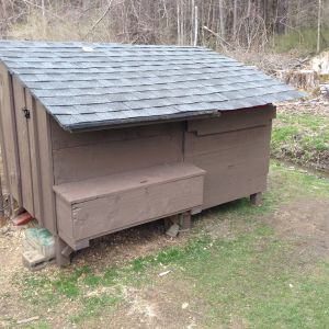 We added a new roof to both the existing coop and the addition.  The materials were only $30 at HD.  It was my first time roofing but I think it came out pretty good. It also makes it look like the addition was part of the initial design.