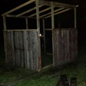 My coop for my Game Chickens. Built out of pallets. At the end of day 1.