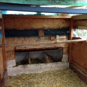 Small coop will be set up as a brooder for our 1 1/2 week old chicks. They will be moved this week to the coop.