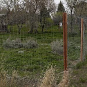 Perimeter fence