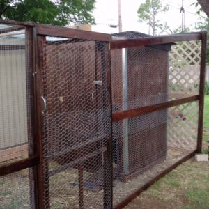 This pic shows the finished coop with the lattice work blocking the view. We put chicken wire on top as well.