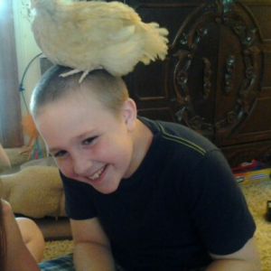 Gives a whole new meaning to the term "chicken-head"