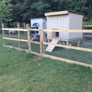 My built coop is on the right. The coop on the left houses my son's 3 show Cochins.