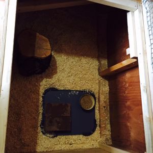 Brooder space, looking down through the top.  Space extends under the nest box to the coop.