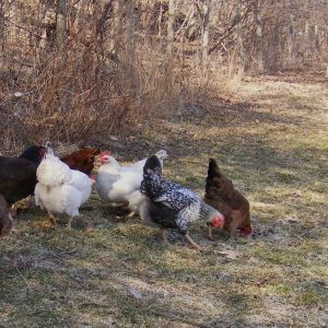 some of the ladies. Spring 2015