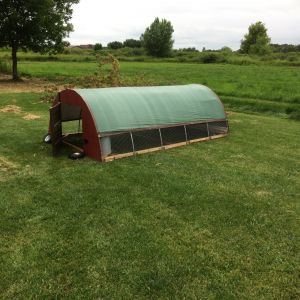 My home built hoop house that houses about 20-25 Broilers.  6' x 10'

Base is made of pressure treated 2x4, the ends are 1/2" plywood painted with oil barn paint.  The hoops are 1/2" EMT conduit and the covering is 1/2"  hardware cloth and an 8x10 light duty tarp