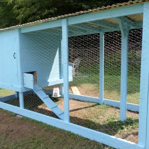 Finished coop and painted with outdoor paint to help retard breakdown of the wood. We currently house 4 hens and will be getting 2 more. There are 2 roosting bars inside that are 48" long and in the front corner, a sand/dirt bath has been added. The chickens love it!