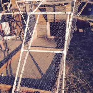 Complete chicken run, overbuilt and heavy, at least it's all recycled material. Wheels will be installed soon under the coop side.