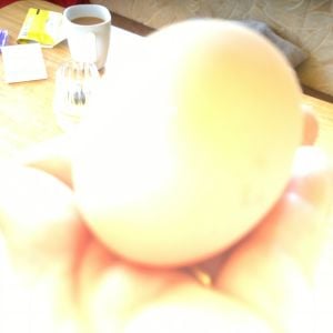 An early egg
