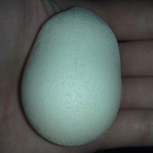 3rd egg from the cornish, oddly shaped and bumpy