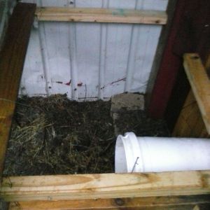 My 1st perfect idea was a cabinet style coop. It had chicken wire across the boards and loaded with hay. It worked for a while, but too hard to rake out hay and keep clean.