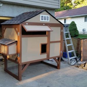 the hen house is 6x4x4'. I added a homemade automatic door with a car antenna. found that idea on these forums