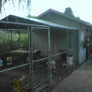 dog run added to the end of the shed