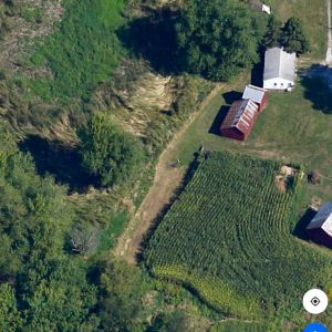 Aerial view.  Small barn (building #2 from top) chicken coop.