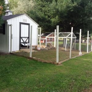 Fenced run attached to small coop.