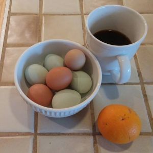 Eggs from the coop, orange from the tree, and no we did not grow the coffee beans!