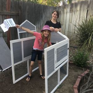 My girls building our first coop