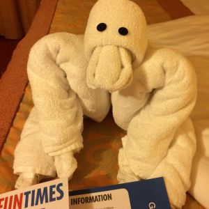 Third towel animal.