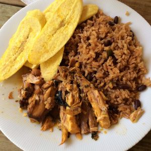 Traditional lunch of stewed iguana, rice and beans, and fried plantains.