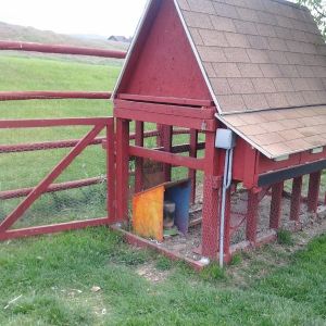 The coop is mobile if we remove the power source.  It is build on solid 4x4" redwood posts with 1x5 stained slats underneath.  Chicken-wire wraps around the bottom to keep out the varmints.
The roof and 2x4s are not cut length wise. Standard plywood for the roof, uncut. The 4x4s are also non-cut length wise.