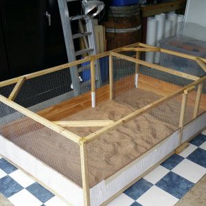 New brooder- it's 4 x 6 and will house 6 chicks for a while.  Love the sand bedding so much more than the pine woodchips.  Sprinkled PDZ in with the sand.  The chicks (not pictured here) love the sand too!  We have a lid we cover it with to keep the big chicks from flying out.