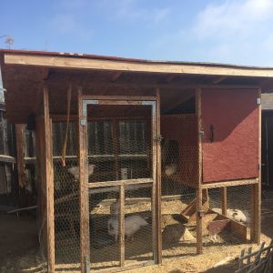 Juvenile Pen. This is a coop I got for free from a friend of a friend. The top is enclosed with a fully covered run which gives them access to the dirt. We put chicken wire under the whole thing a couple inches down to protect from predators.